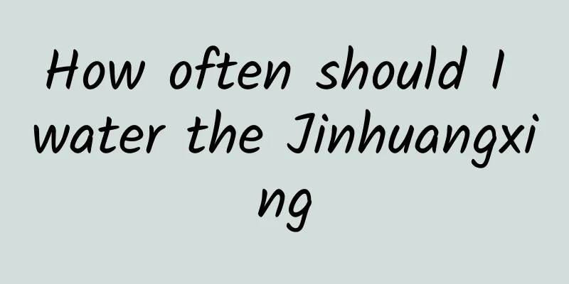 How often should I water the Jinhuangxing