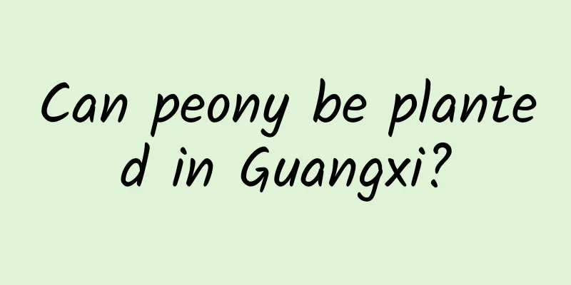Can peony be planted in Guangxi?