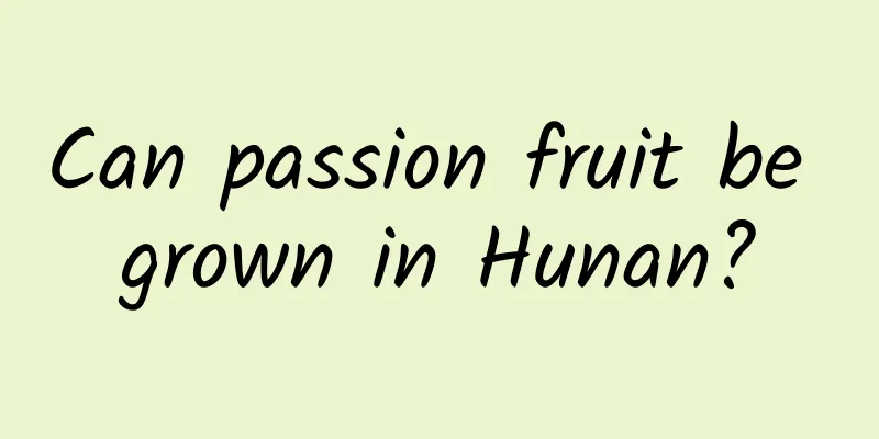 Can passion fruit be grown in Hunan?