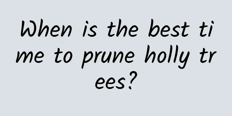 When is the best time to prune holly trees?