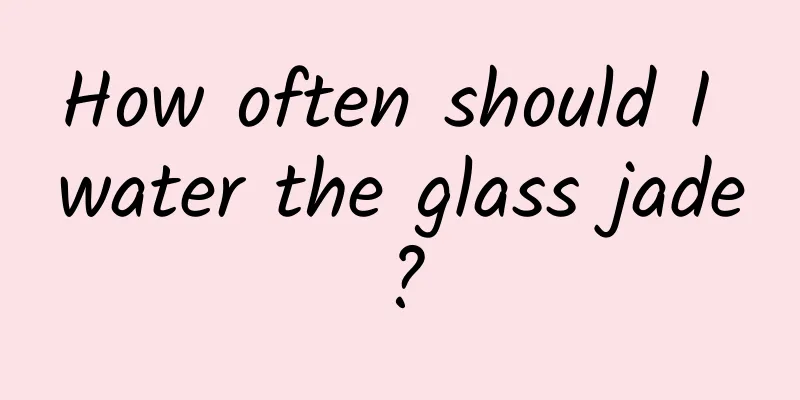 How often should I water the glass jade?