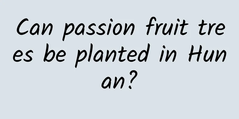 Can passion fruit trees be planted in Hunan?