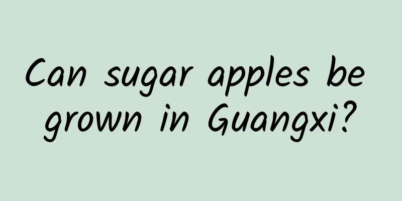 Can sugar apples be grown in Guangxi?