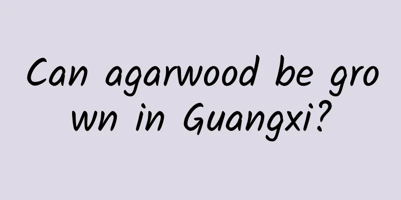 Can agarwood be grown in Guangxi?