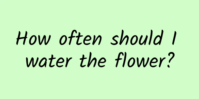 How often should I water the flower?