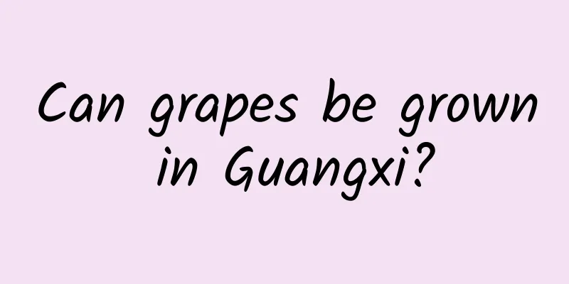 Can grapes be grown in Guangxi?