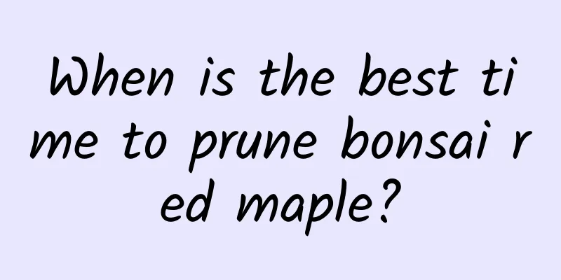 When is the best time to prune bonsai red maple?