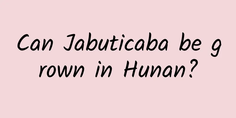 Can Jabuticaba be grown in Hunan?
