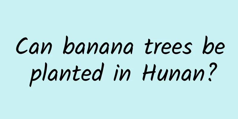 Can banana trees be planted in Hunan?