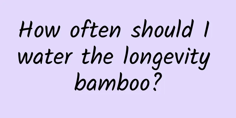 How often should I water the longevity bamboo?