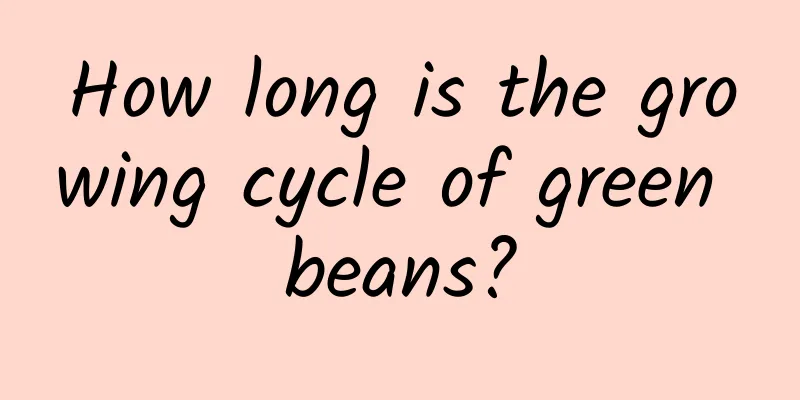 How long is the growing cycle of green beans?