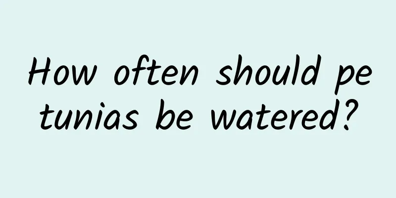How often should petunias be watered?