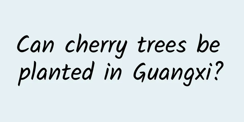 Can cherry trees be planted in Guangxi?