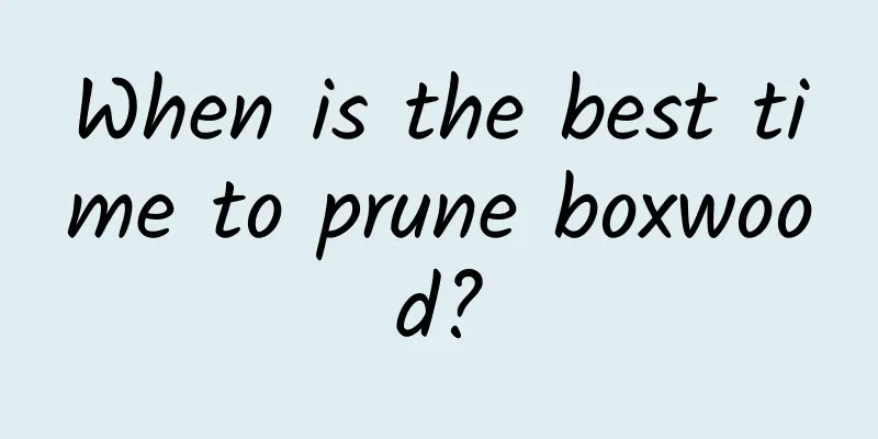 When is the best time to prune boxwood?