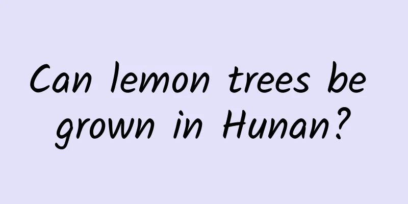 Can lemon trees be grown in Hunan?