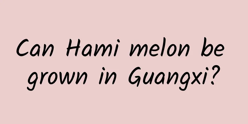 Can Hami melon be grown in Guangxi?