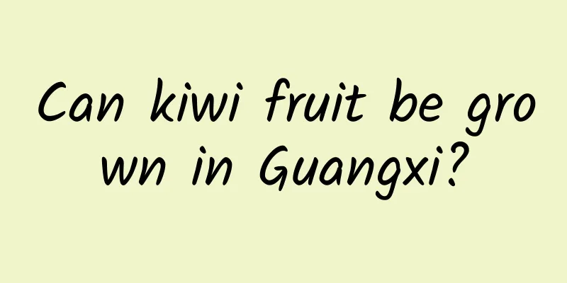Can kiwi fruit be grown in Guangxi?