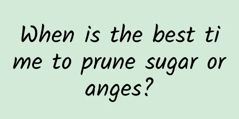 When is the best time to prune sugar oranges?