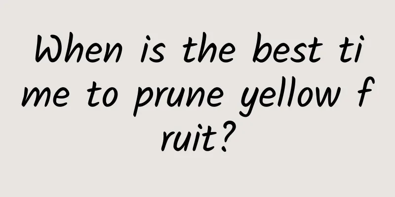 When is the best time to prune yellow fruit?