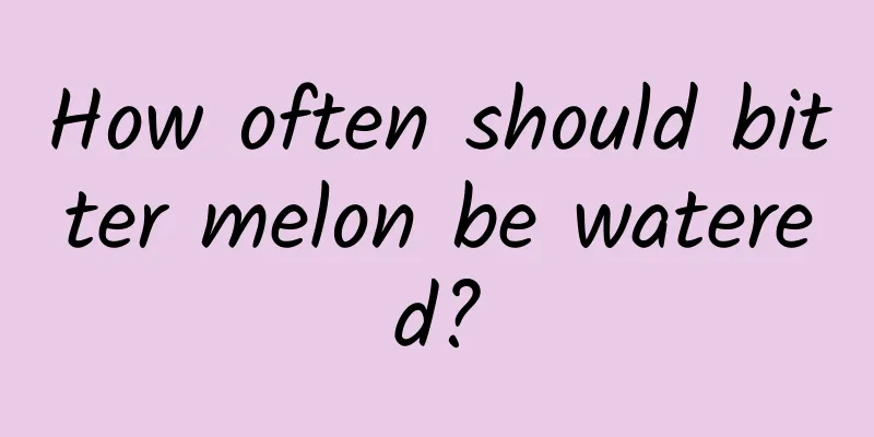 How often should bitter melon be watered?