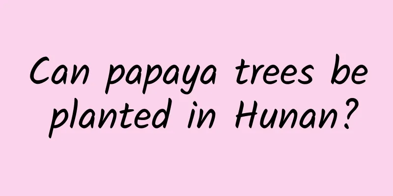 Can papaya trees be planted in Hunan?