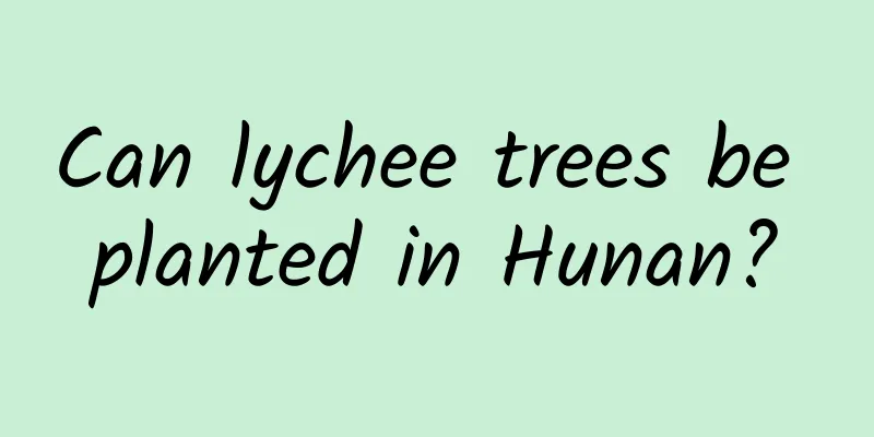 Can lychee trees be planted in Hunan?
