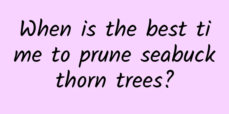 When is the best time to prune seabuckthorn trees?