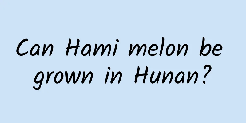 Can Hami melon be grown in Hunan?