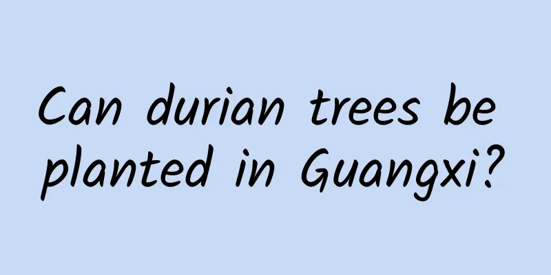 Can durian trees be planted in Guangxi?