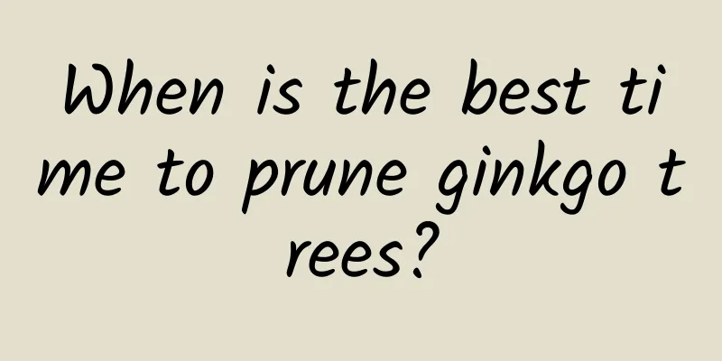 When is the best time to prune ginkgo trees?