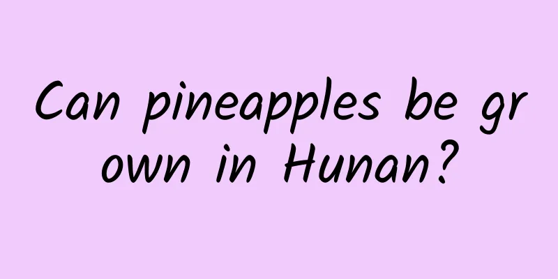 Can pineapples be grown in Hunan?