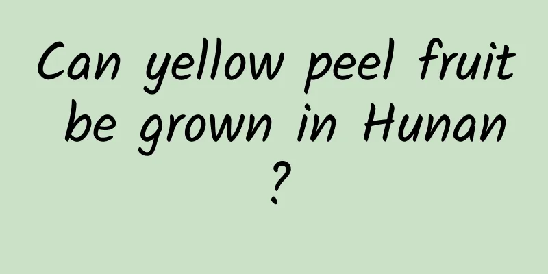 Can yellow peel fruit be grown in Hunan?