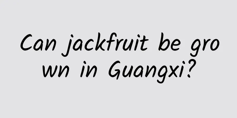Can jackfruit be grown in Guangxi?