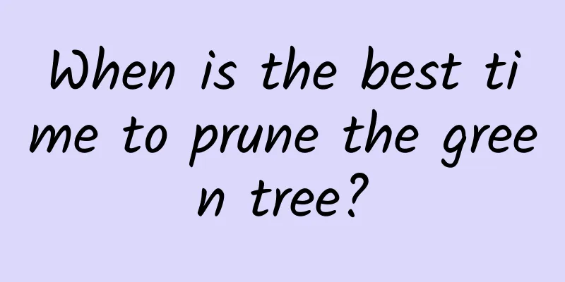 When is the best time to prune the green tree?