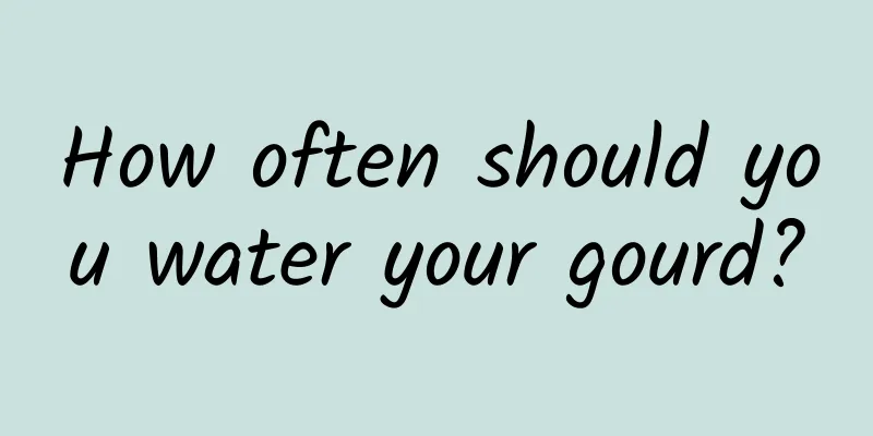 How often should you water your gourd?