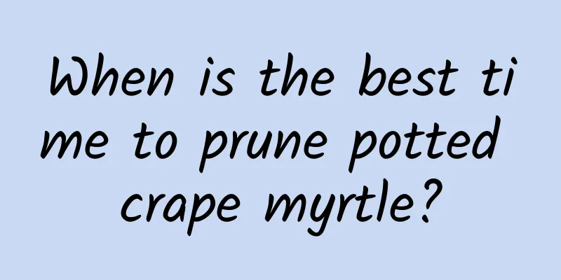 When is the best time to prune potted crape myrtle?