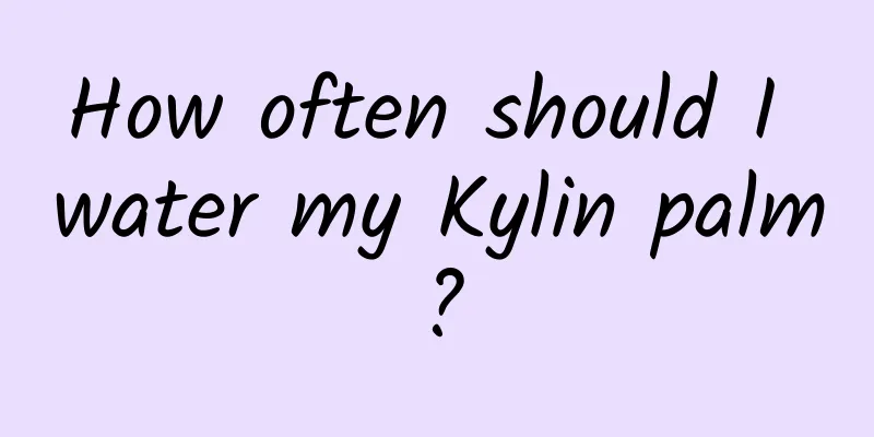 How often should I water my Kylin palm?