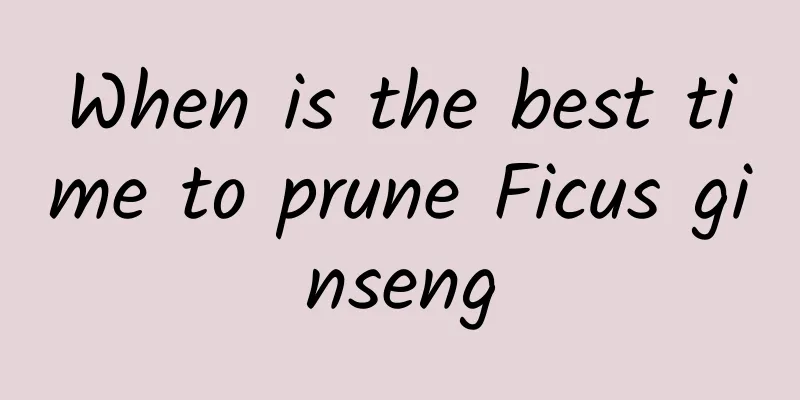 When is the best time to prune Ficus ginseng
