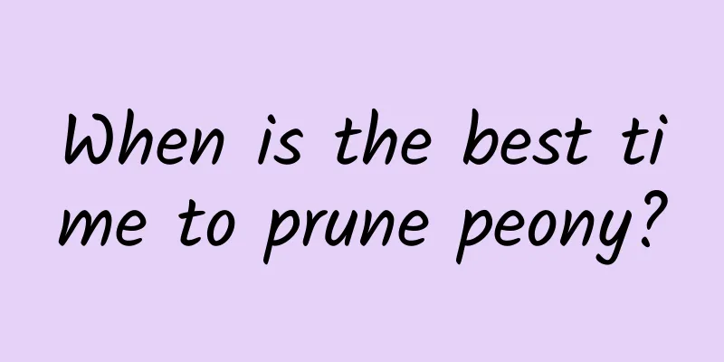 When is the best time to prune peony?