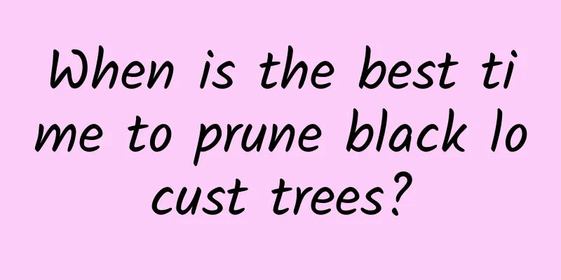 When is the best time to prune black locust trees?