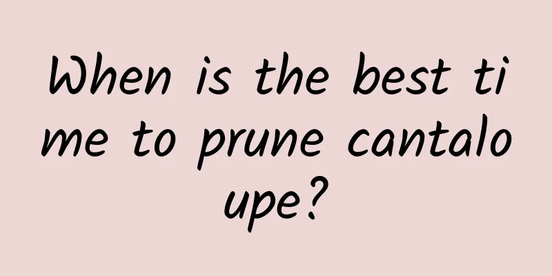 When is the best time to prune cantaloupe?