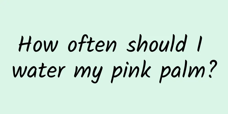 How often should I water my pink palm?