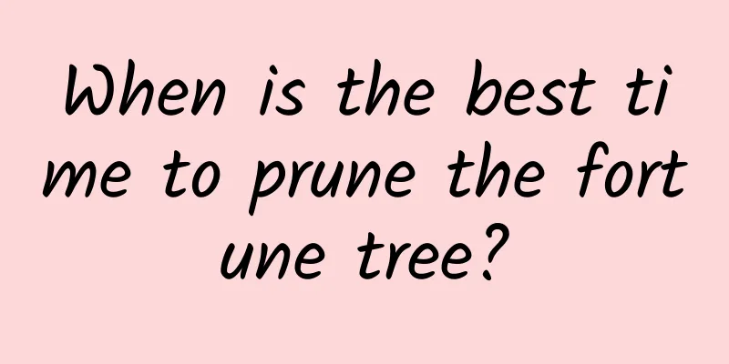 When is the best time to prune the fortune tree?