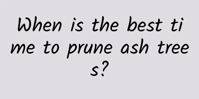 When is the best time to prune ash trees?