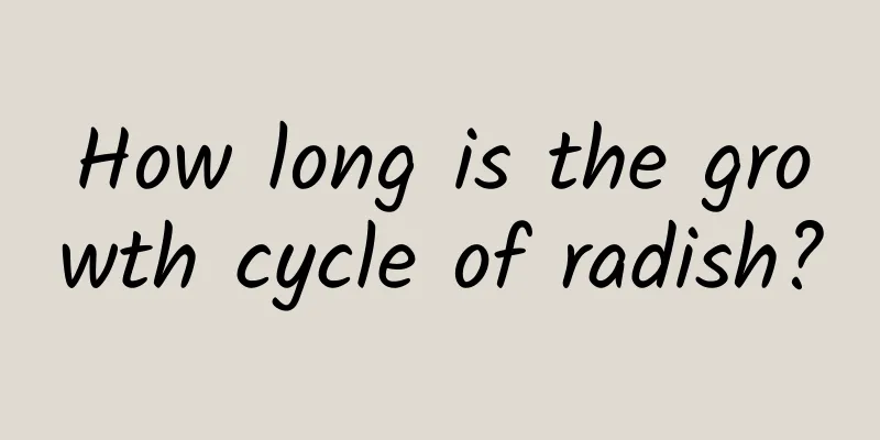 How long is the growth cycle of radish?