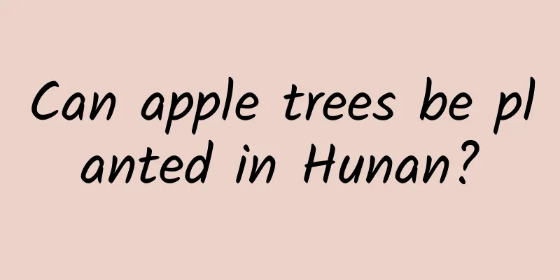 Can apple trees be planted in Hunan?