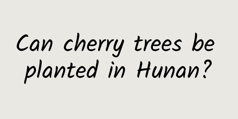Can cherry trees be planted in Hunan?