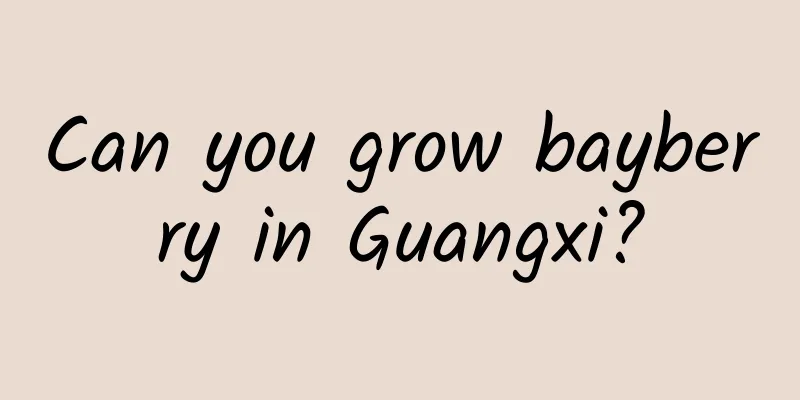 Can you grow bayberry in Guangxi?