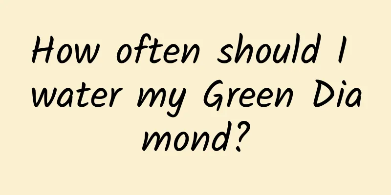 How often should I water my Green Diamond?