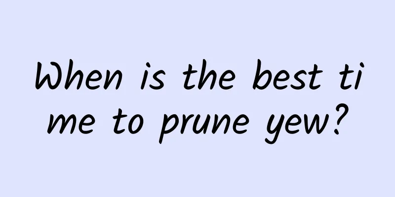 When is the best time to prune yew?